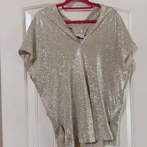 NWT Beautiful sparkly top!
